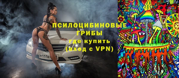 прущие грибы Ладушкин