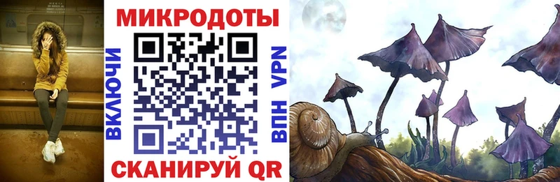 Купить  Шагонар  Галлюциногенные грибы мицелий 